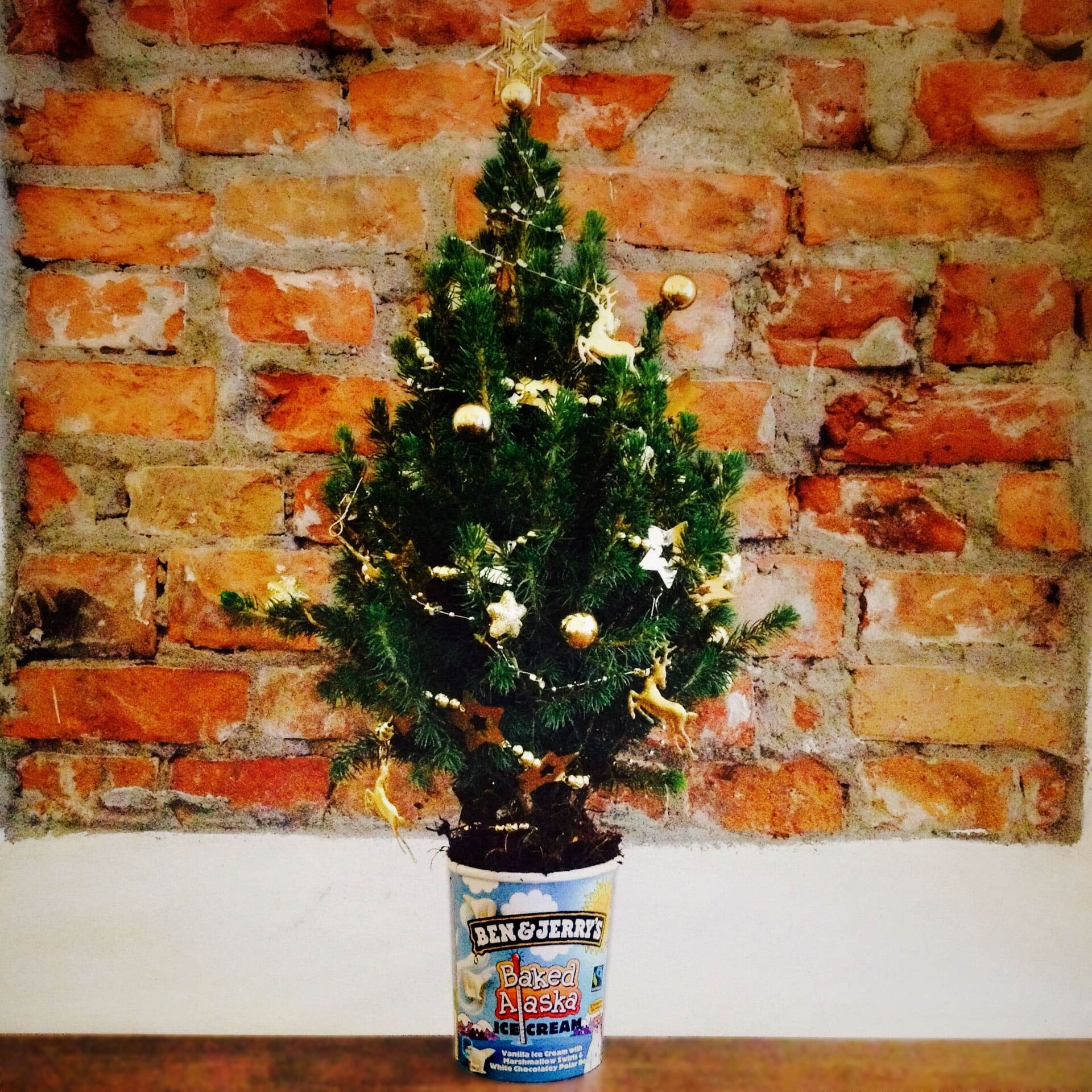 Tannenbaum-1.jpg